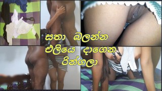 සතෙක් එලවන්න කෙල්ලො ඉන්න බෝඩිමට එන්න කිවුවා ඉතින් යනකොට (Go to her boarding school and fuck her